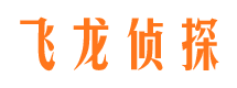 茄子河市侦探调查公司